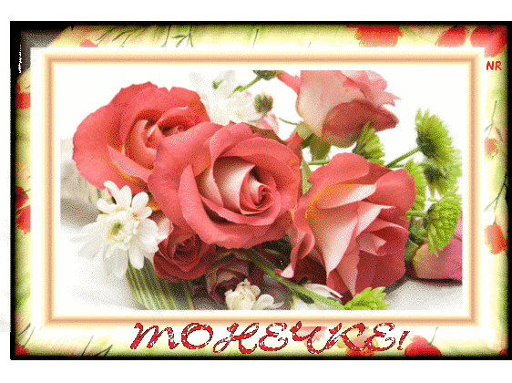 День Антона 2019: как оригинально поздравить Антошу и Тоню с Днем ангела